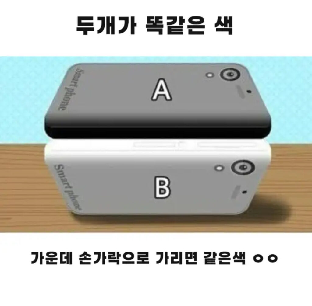 All in one_19th - 이미지 1