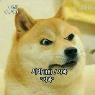 이미지 9
