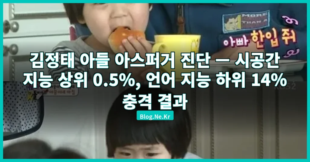 김정태 아들 아스퍼거 진단 관련 이미지