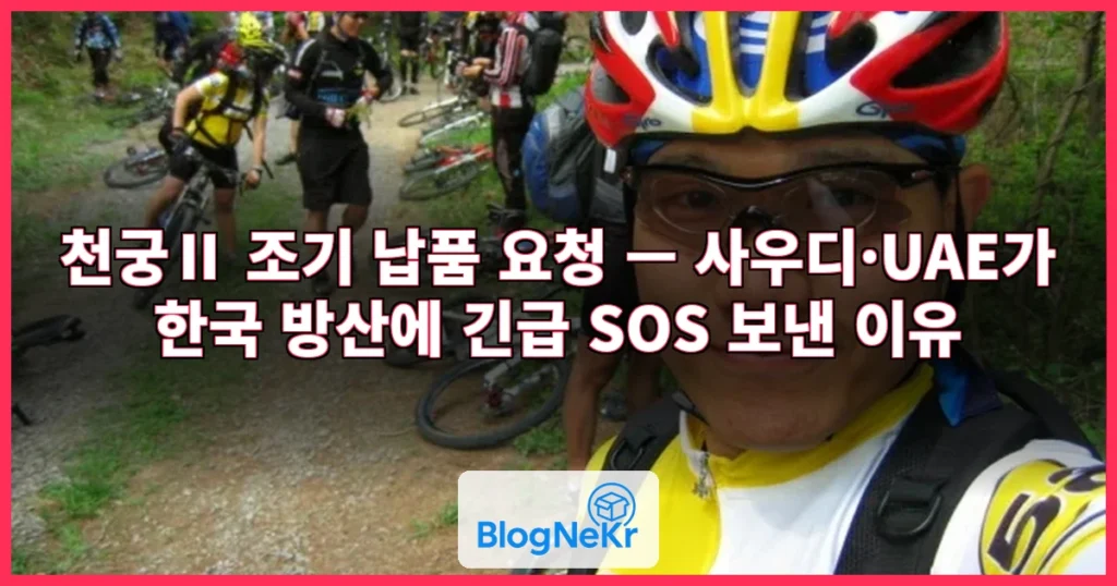 ‘천궁Ⅱ 좀 빨리, 더 달라’… 한국에 요청한 사우디·UAE 관련 이미지