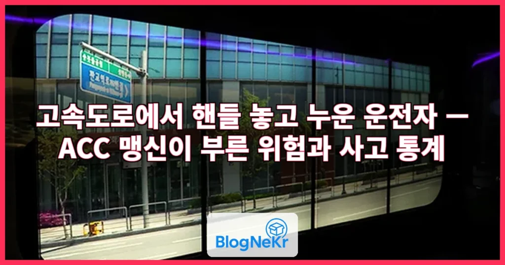 핸들 놓고 조수석 누워 고속도 질주…"저 운전자 황천길 하이패스"[영상] 관련 이미지