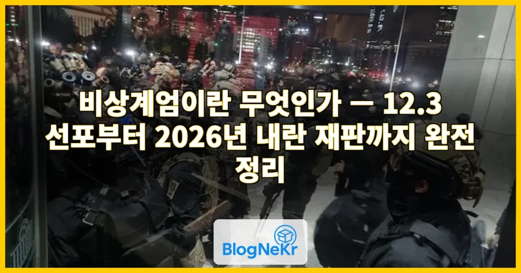 비상계엄 관련 이미지