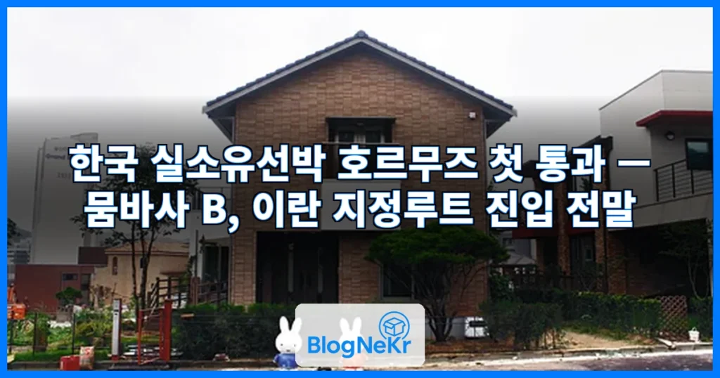 [단독] 한국 실소유선박, 호르무즈 통과…이란 지정루트로 첫 진입 관련 이미지