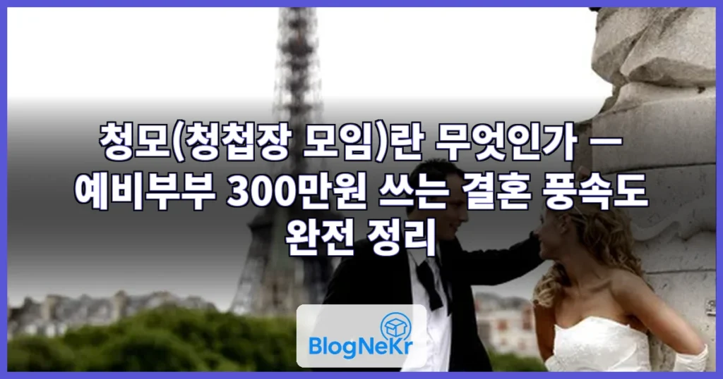 [결혼 풍속도①] "청첩장 주려면 밥부터 사야지"…'청모' 부담에 예비... 관련 이미지