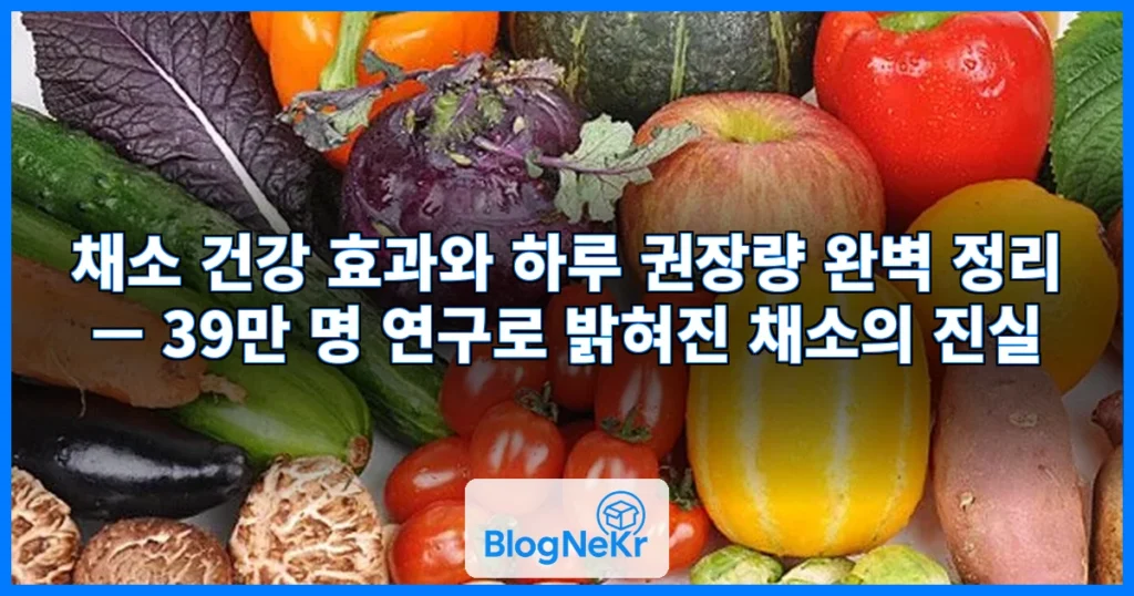 채소 관련 이미지