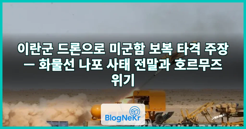 이란군 "드론으로 美군함 보복 타격…화물선 요격 나포에 대응" 주장 관련 이미지