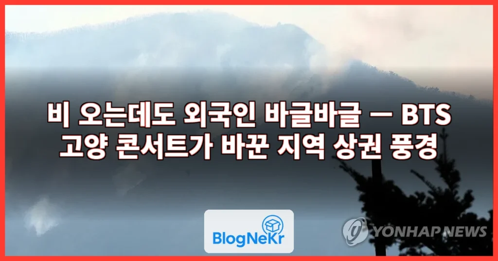 비 오는데도 외국인 '바글바글'…"매 관련 이미지