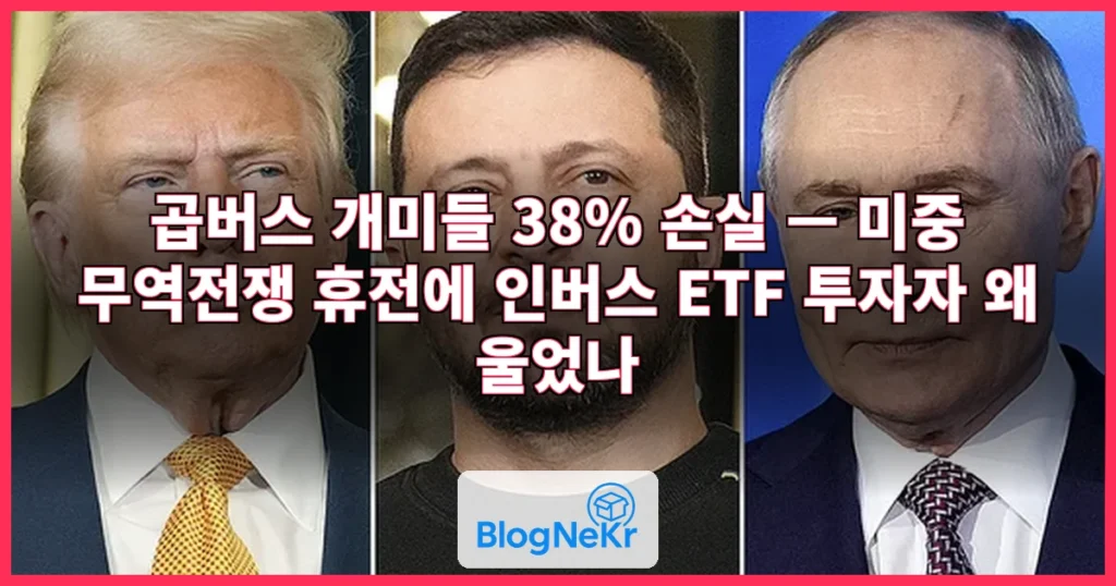 "벌써 휴전하면 저흰 어떡합니까"…곱버스 개미들, 웃다가 울었다 관련 이미지