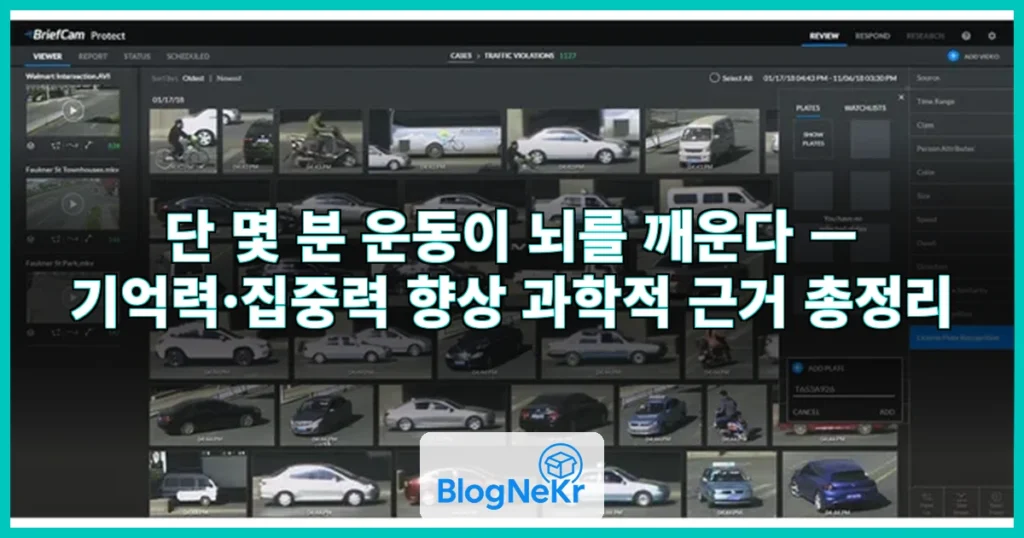 단 몇분이라도 좋다...뇌를 깨우는 ‘이것’의 효과 관련 이미지