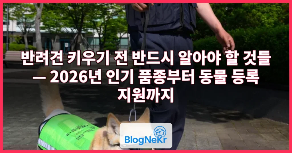 반려견 관련 이미지