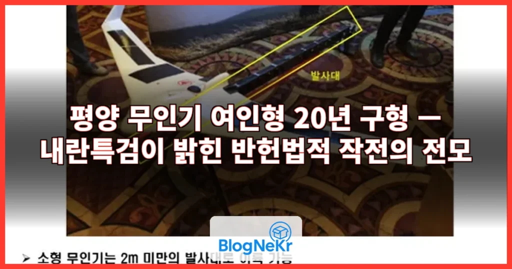 평양 무인기 여인형 20년 구형 관련 이미지