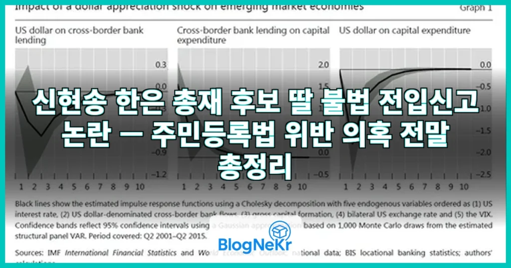 신현송, 영국 국적 딸 한국인인 척 '불법 전입신고' 논란 관련 이미지