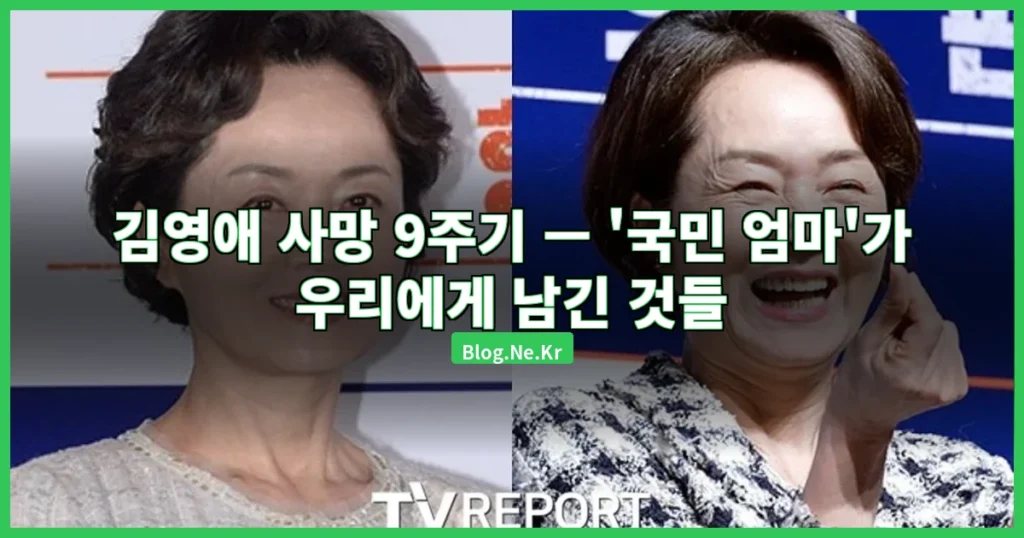 김영애 사망 9주기 관련 이미지