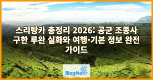 스리랑카 총정리 2026: 공군 조종사 구한 루완 실화와 여행·기본 정보 완전 가이드