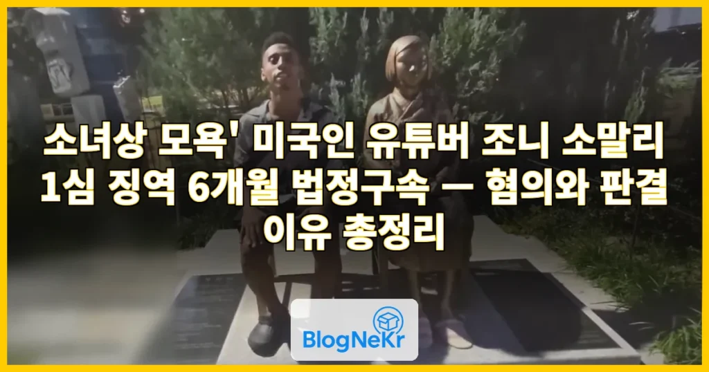 '소녀상 모욕' 美유튜버 조니 소말리 1심 징역 6개월…법정구속 관련 이미지