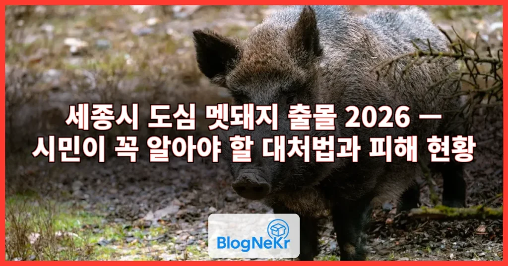 멧돼지 관련 이미지