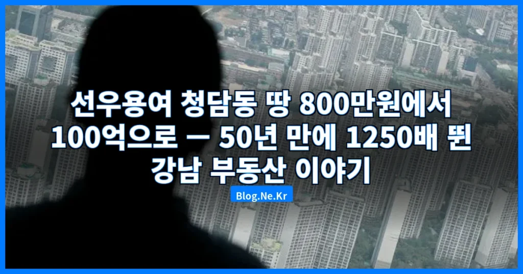 청담동 땅 800만원에서 100억으로 관련 이미지