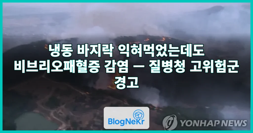 “걸리면 50% 사망” 1년 전 냉동한 바지락, 익혀먹었는데도 감염…질병청 경고 관련 이미지