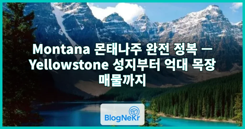 montana 관련 이미지