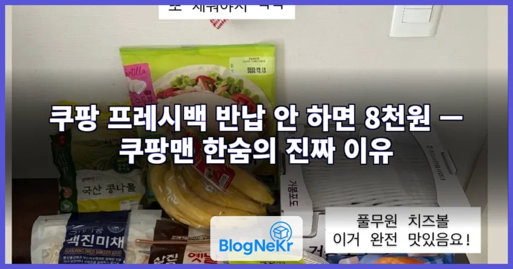 쿠팡백 들고 캠핑 간 백지영…“10명 중 3명은 안돌려줘” 쿠팡맨 한숨 관련 이미지