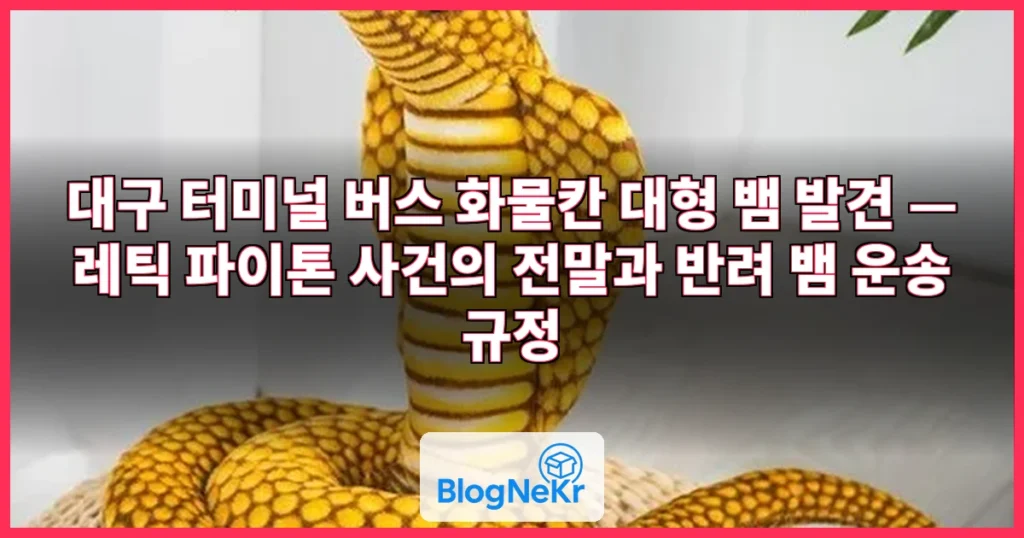 "대형 뱀이 캐리어 칭칭" 대구 터미널 '발칵'…"수화물서 … 관련 이미지