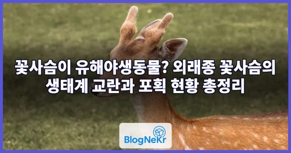 꽃사슴 관련 이미지