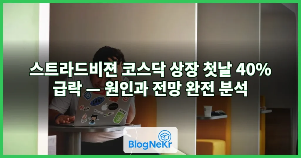스트 라드 비젼 관련 이미지