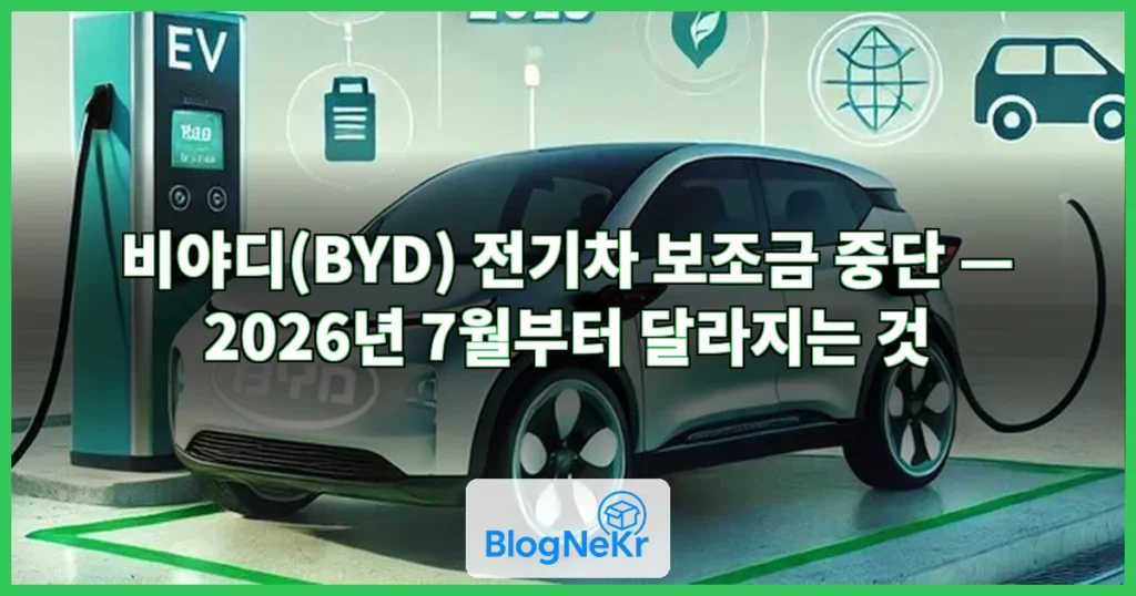 비야 디 관련 이미지