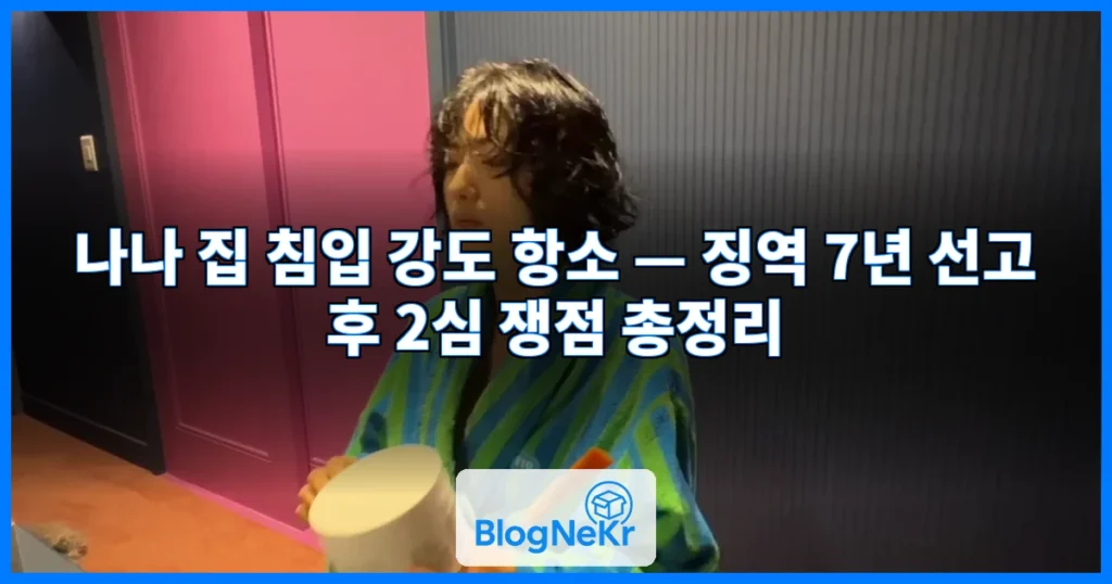 나나 집 침입 강도 항소 관련 이미지