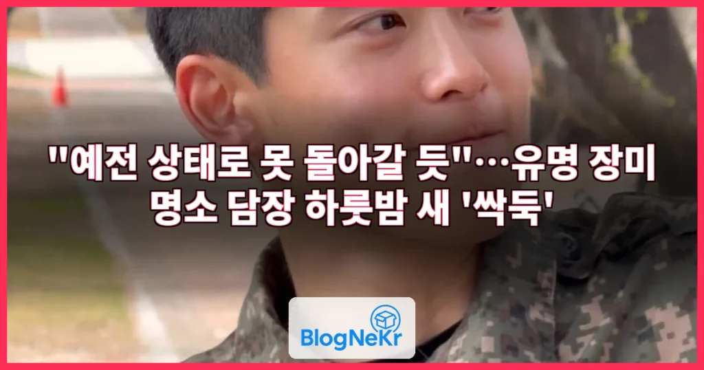 "예전 상태로 못 돌아갈 듯"…유명 장미 명소 담장 하룻밤 새 '싹둑' 관련 이미지