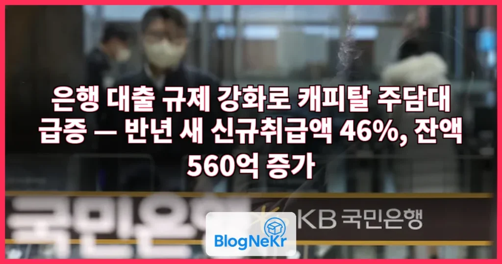 [단독] 은행문 닫히자 10%대 금리에도 캐피탈로…주담대 잔액 반년새 560억 늘었다 관련 이미지