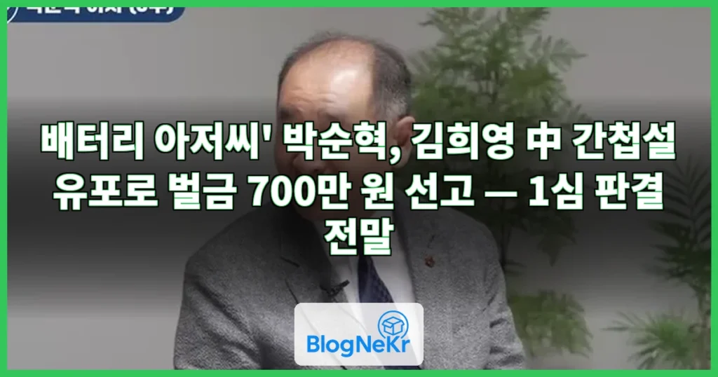 '배터리 아저씨' 박순혁, 최태원 동거인 中 간첩설 유포 1심 벌금형 관련 이미지