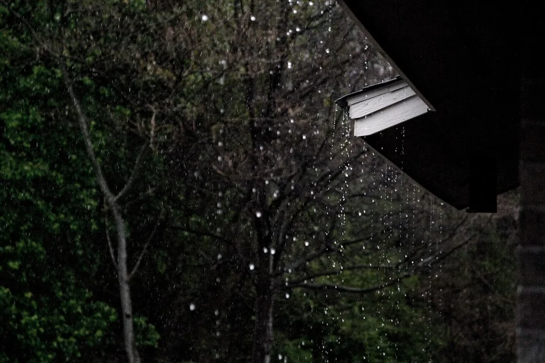 전북 김제· 군산 호우특보, 시간당 40mm 강한 비 관련 이미지