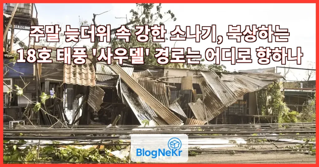 주말 늦더위 속 소나기…태풍 '사우델' 경로는?[토요와이드] 관련 이미지