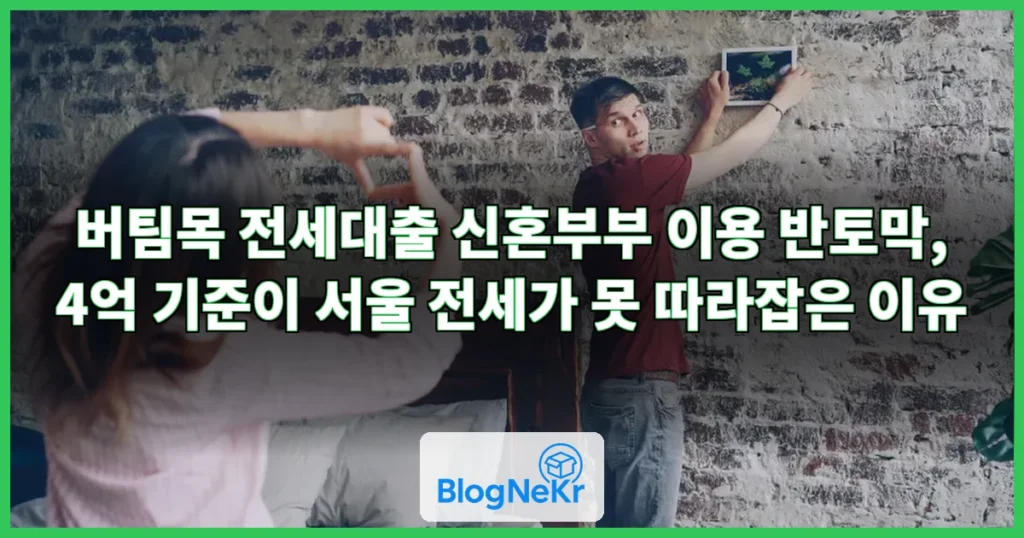 '그림의 떡' 된 버팀목 전세대출…신혼부부 이용량 반토막 관련 이미지