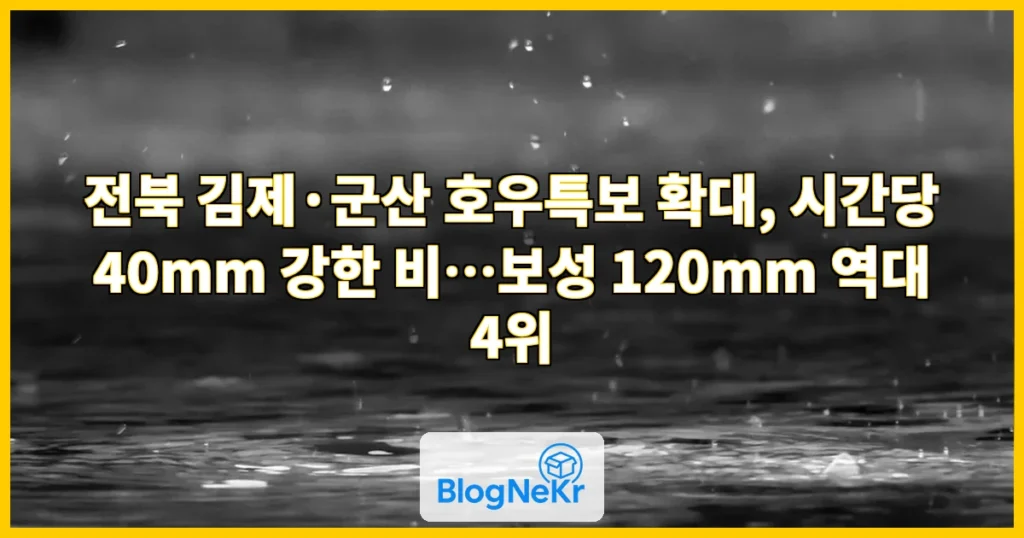 전북 김제· 군산 호우특보, 시간당 40mm 강한 비 관련 이미지