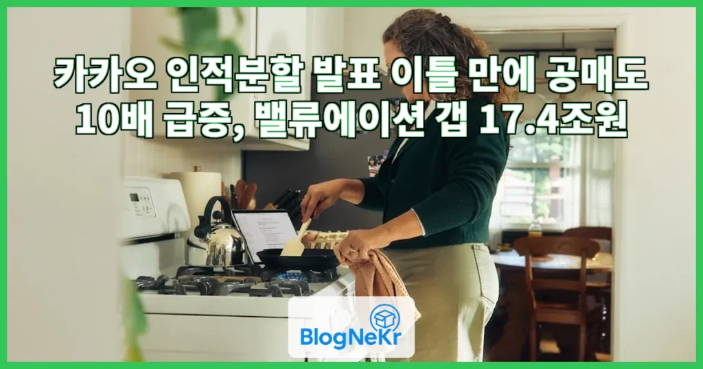 카카오 AI 인적분할 관련 이미지