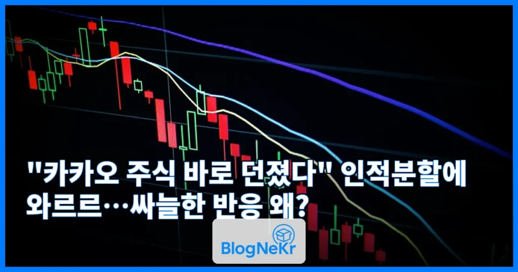 "카카오 주식 바로 던졌다" 인적분할에 와르르…싸늘한 반응 왜? 관련 이미지