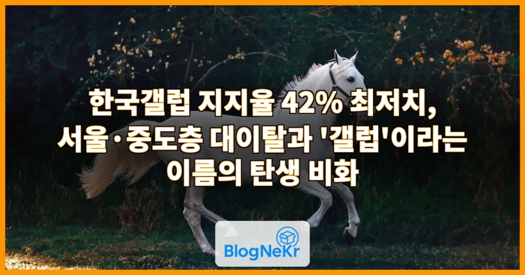 갤럽 관련 이미지