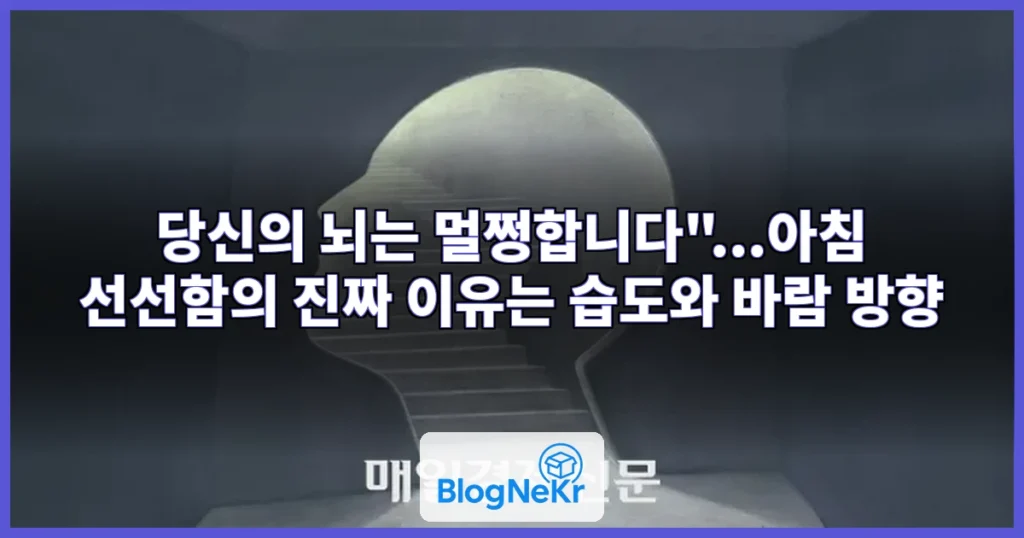 "당신의 뇌는 멀쩡합니다"...아침에 '선선하다' 느끼는 이유 [Y녹취록] 관련 이미지