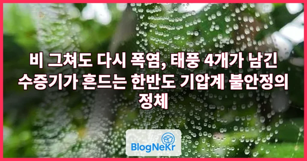 비 그치면 또...'폭염' 얼마나 끈질긴 건지 감도 안 옴;;; [자막뉴스] 관련 이미지