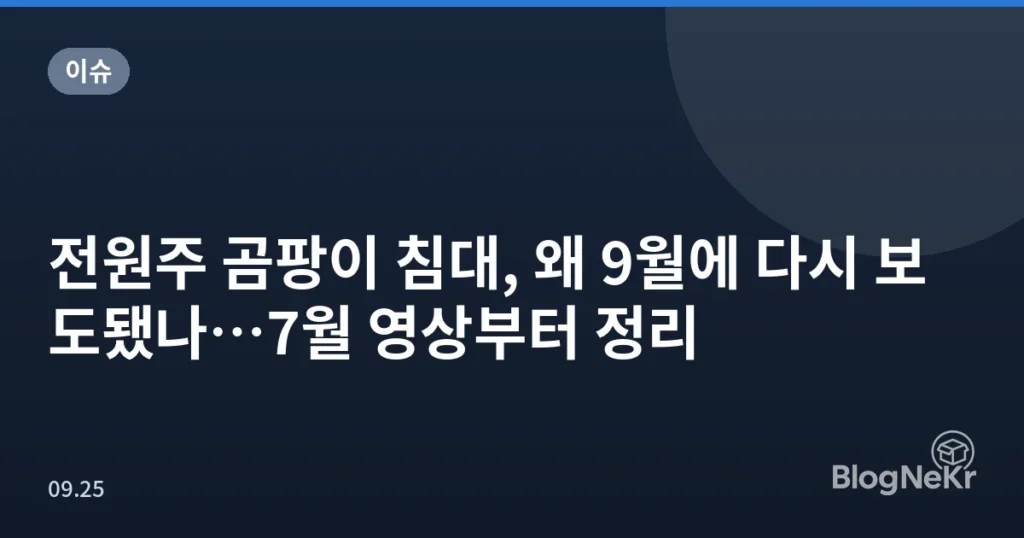 전원주 곰팡이 침대, 왜 9월에 다시 보도됐나…7월 영상부터 정리