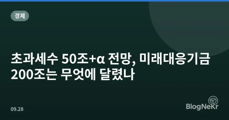 초과세수 50조+α 전망, 미래대응기금 200조는 무엇에 달렸나