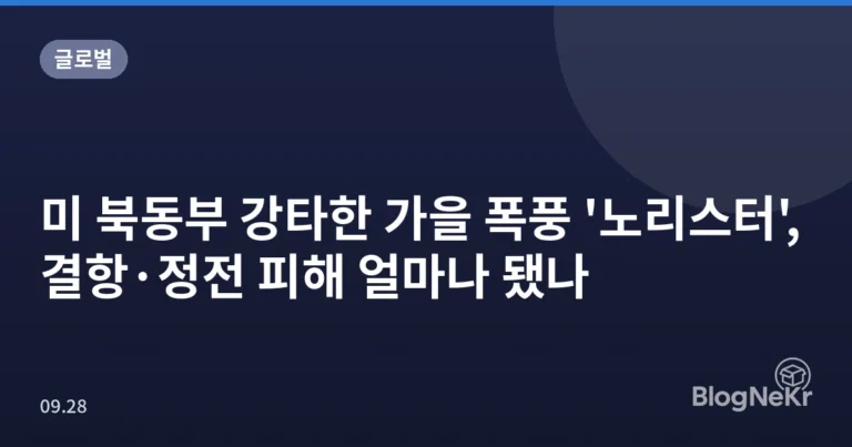미 북동부 강타한 가을 폭풍 '노리스터', 결항·정전 피해 얼마나 됐나