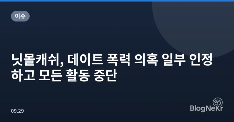 닛몰캐쉬, 데이트 폭력 의혹 일부 인정하고 모든 활동 중단