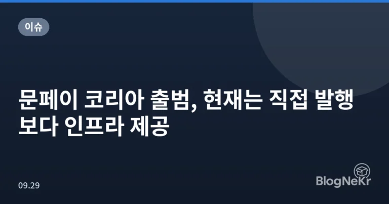 문페이 코리아 출범, 현재는 직접 발행보다 인프라 제공