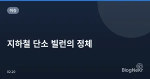 지하철 단소 빌런의 정체