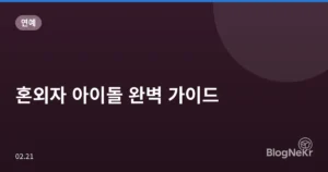 혼외자 아이돌 완벽 가이드