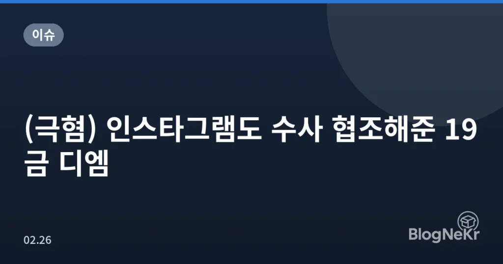 (극혐) 인스타그램도 수사 협조해준 19금 디엠