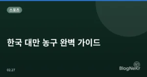 한국 대만 농구 완벽 가이드